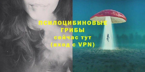 метадон Богданович