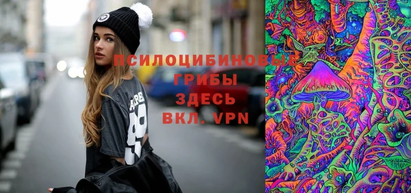 метадон Богданович