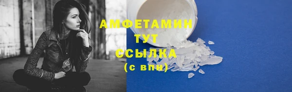 метадон Богданович