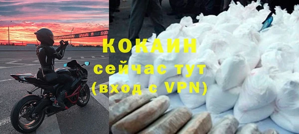 метадон Богданович